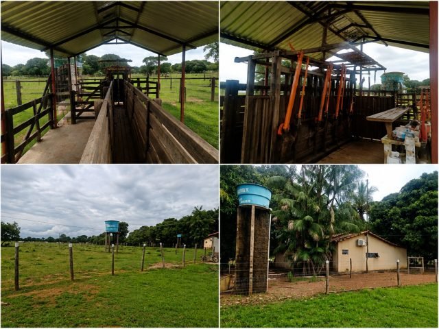 🌾 FAZENDA À VENDA EM FORMOSO DO ARAGUAIA – TO! 🚜