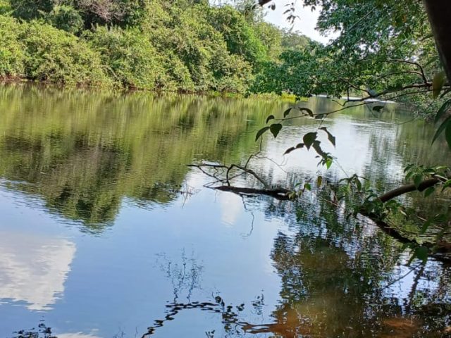Chácara à Venda Beira Rio