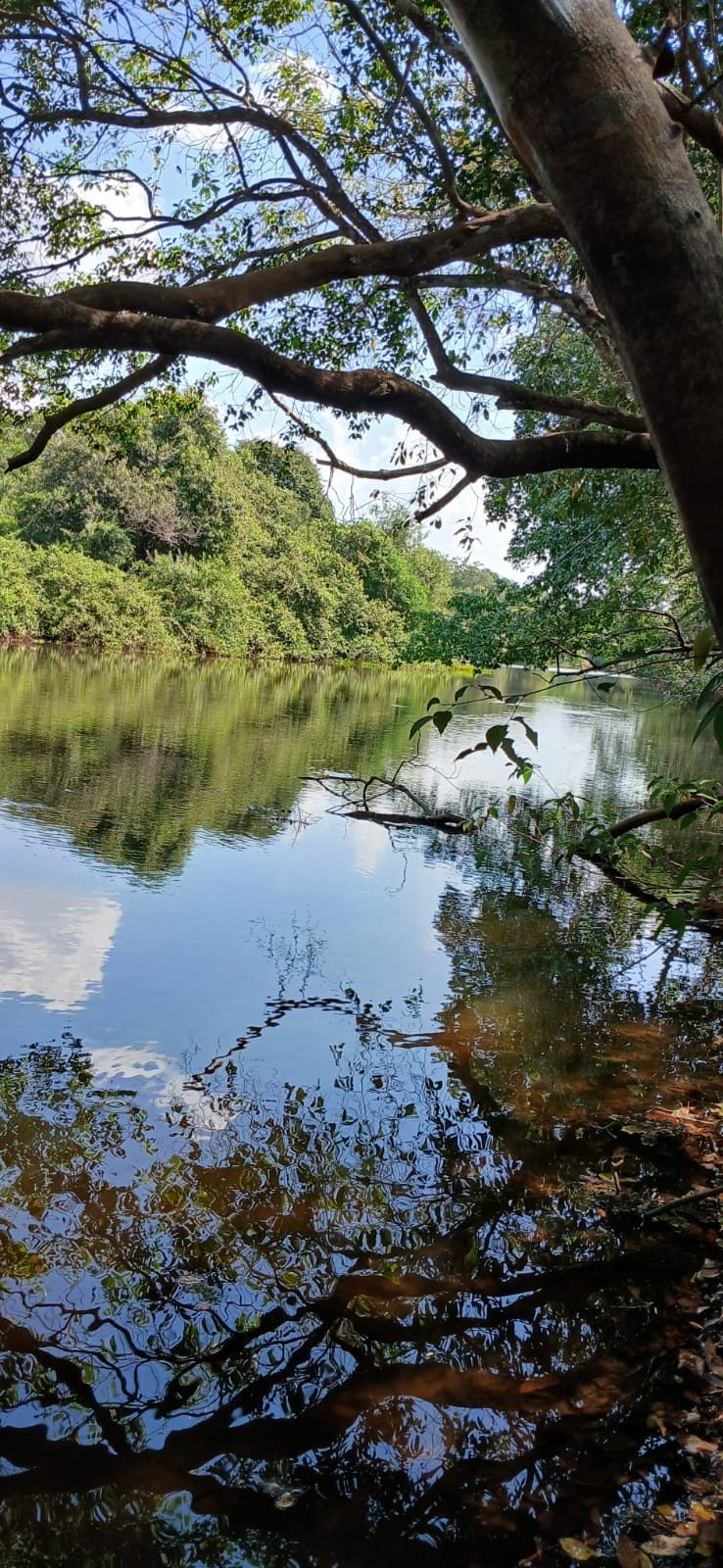 Chácara à Venda Beira Rio