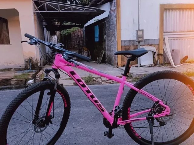 Bicicleta